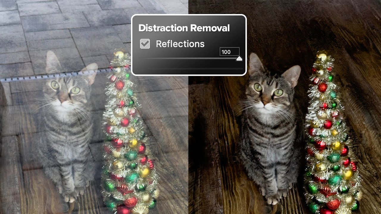 Adobe Snuck a Reflection Remover Into Camera Raw and It Actually Works