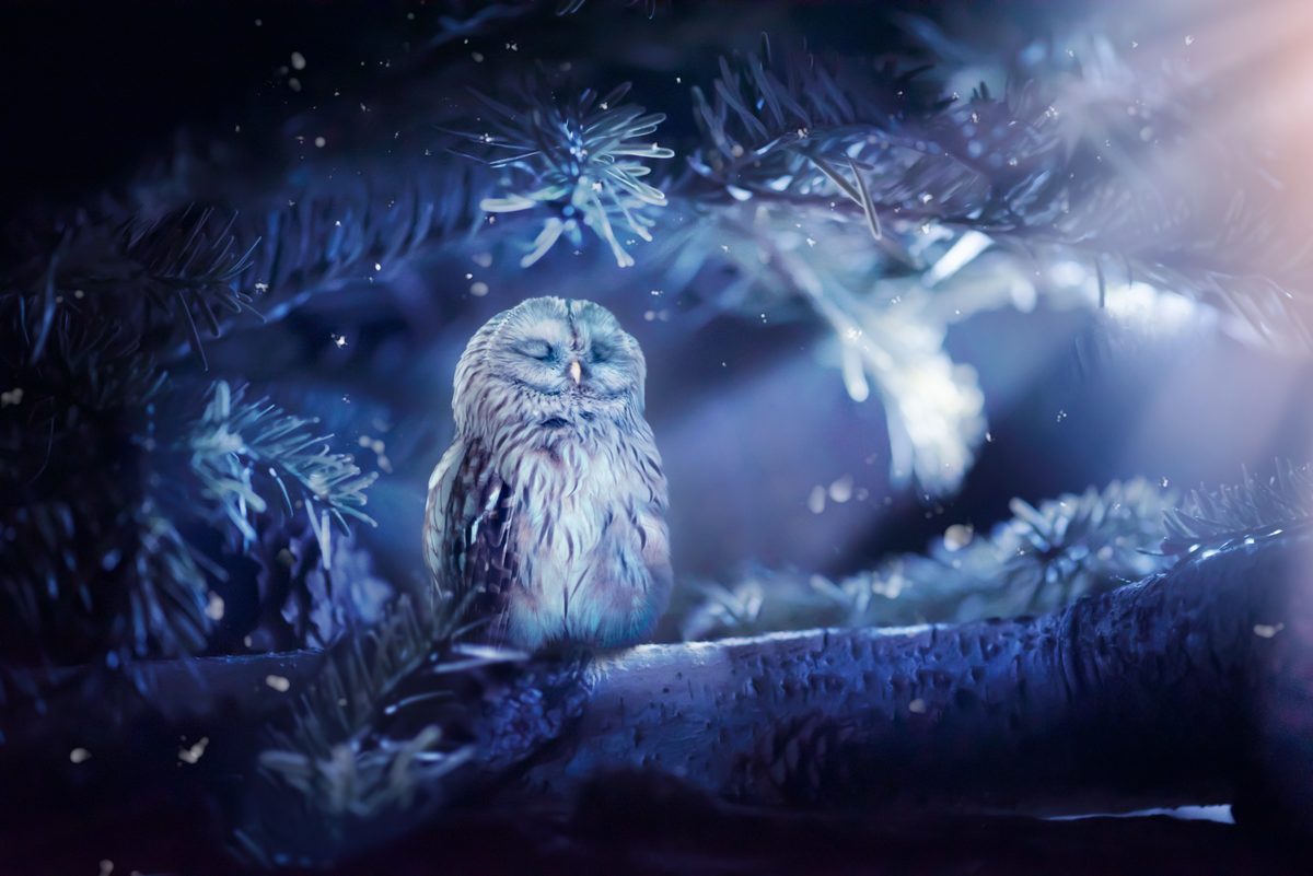 Blend Modes Demystified: Stop Guessing and Start Blending Like a Pro