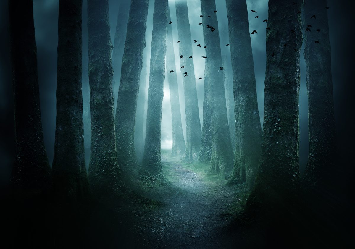 Blend Modes Demystified: Stop Using Normal and Start Looking Like You Know What You're Doing