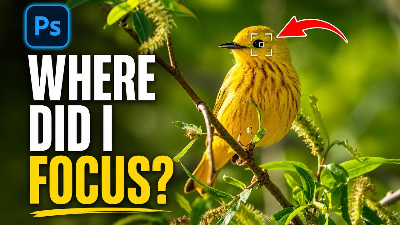 Camera Raw Just Got Focus Point Overlay and Bidirectional Gradients — Here's How to Use Them