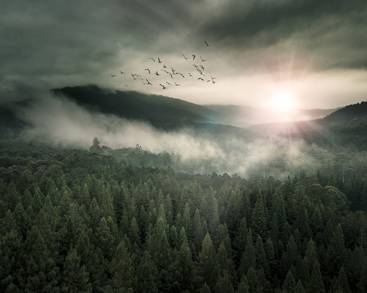 Photoshop Filters: The Good, The Bad, and The Why Did I Do That