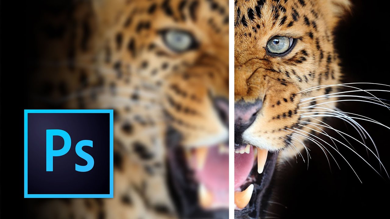 Stop Guessing With Sharpening: A Practical Guide to Unsharp Mask in Photoshop