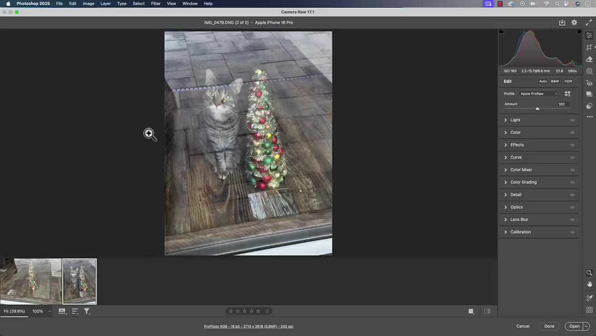 Camera raw badge visible as photo opens in Photoshop