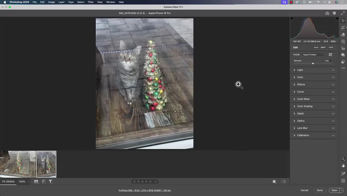 File opening into Adobe Camera Raw from Photoshop