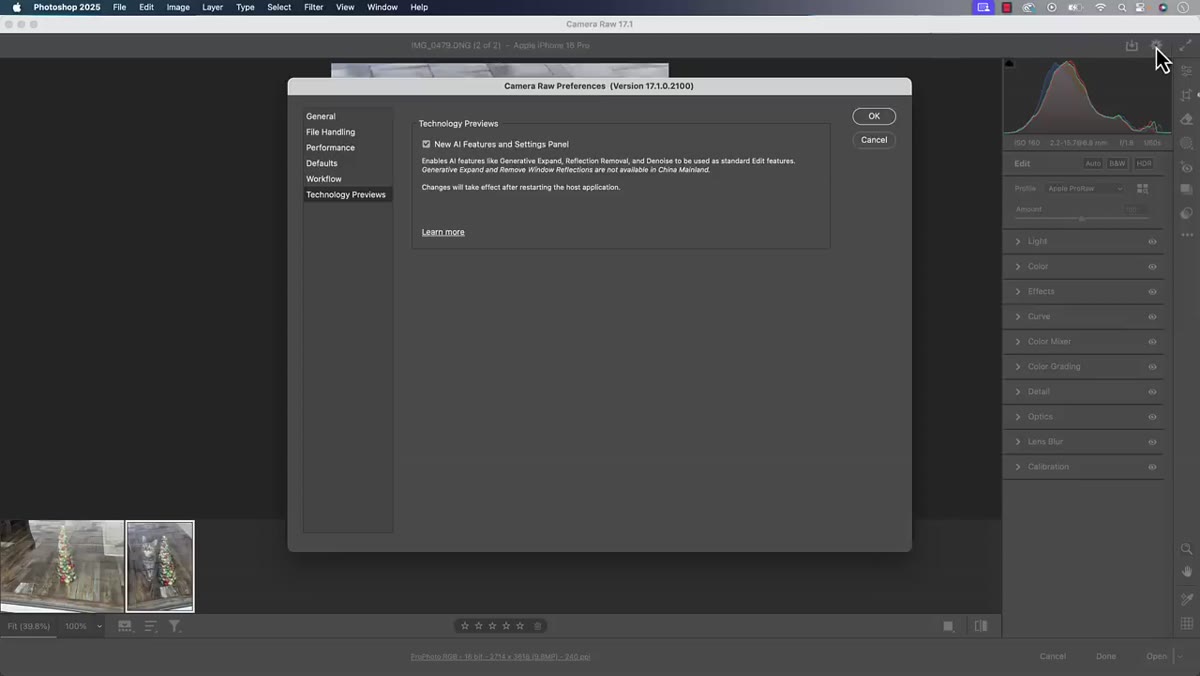 Gear icon in top-right corner of Camera Raw interface