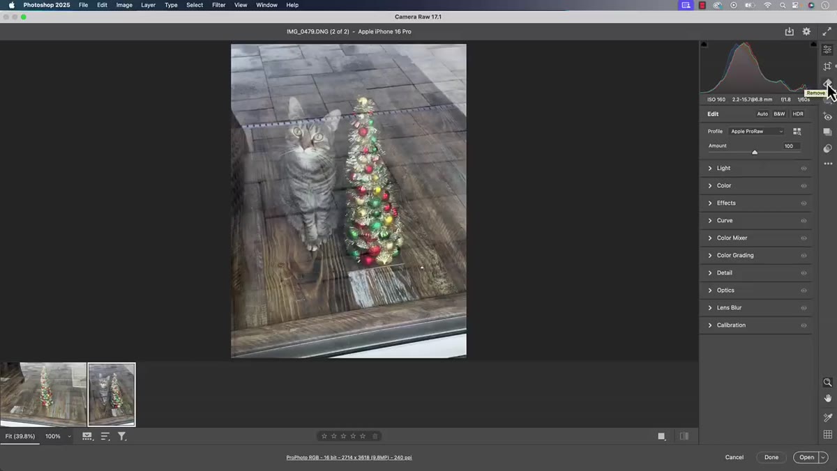 Eraser tool selected in Camera Raw toolbar, showing distraction removal panel