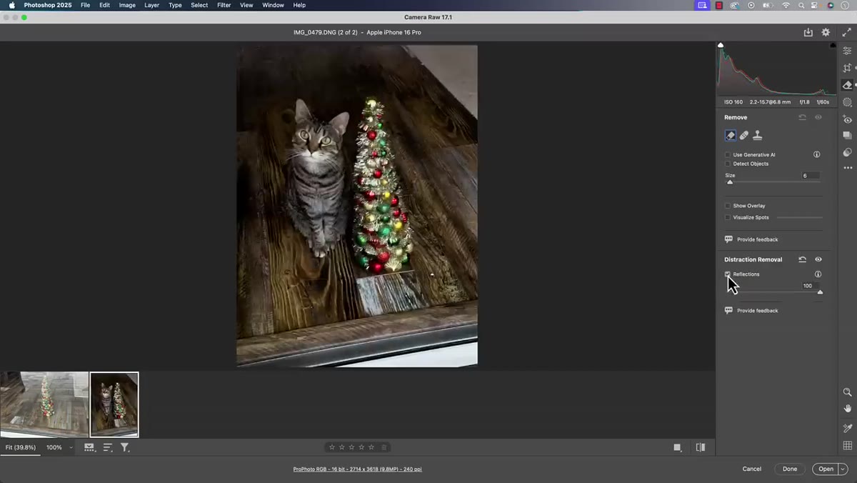 Reflection removal processing on photo with Christmas tree and cat