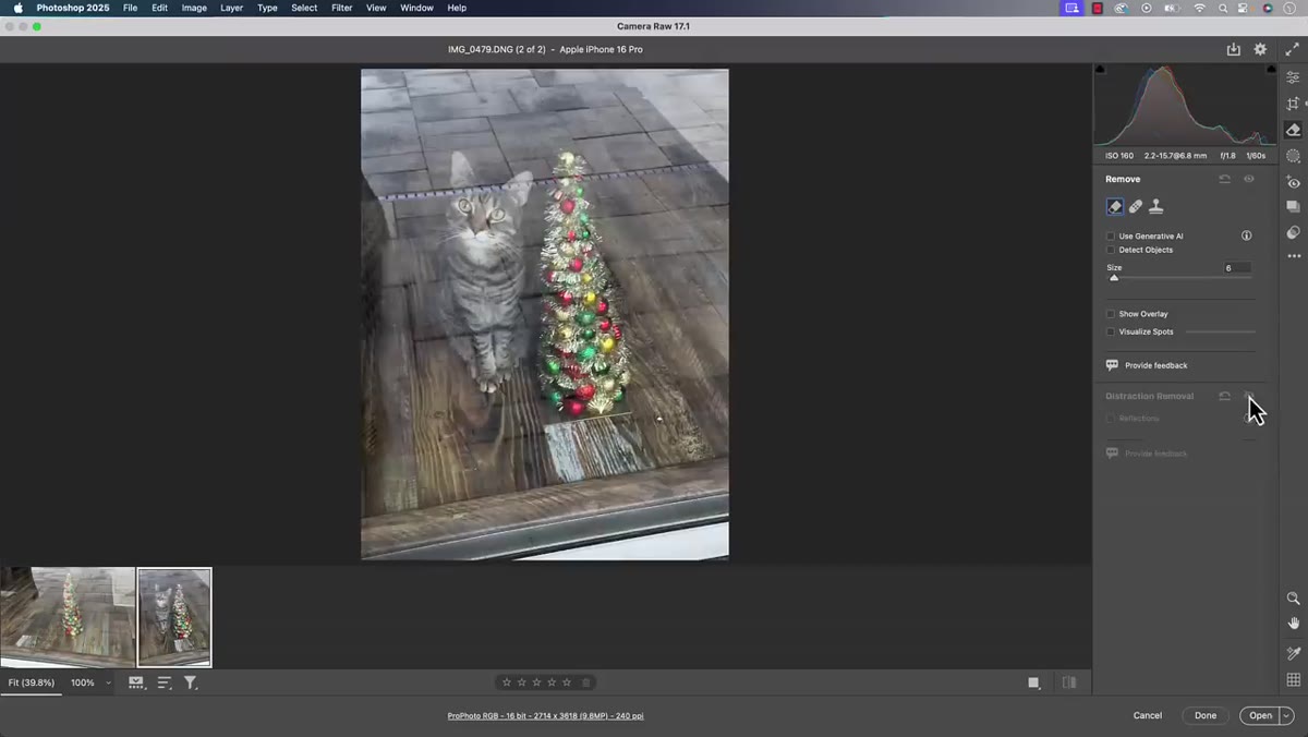 Before and after comparison using eyeball toggle in Camera Raw