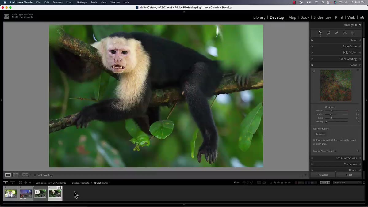 Raw photo open in Lightroom Develop module