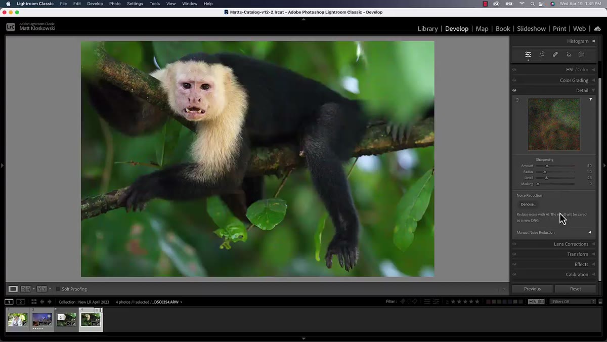 Detail panel open in Lightroom Classic Develop module