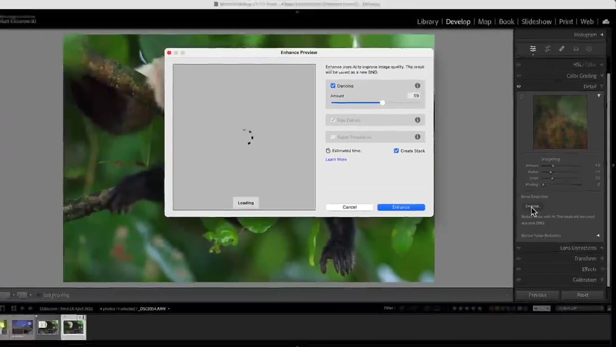 Enhance window open with Denoise slider visible