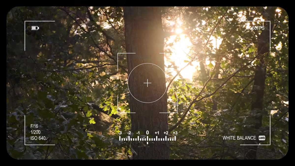 Side-by-side comparison of the scene with and without the filter