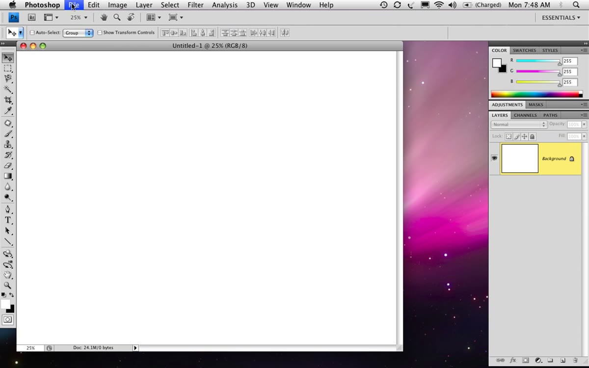 File menu open with Place command highlighted