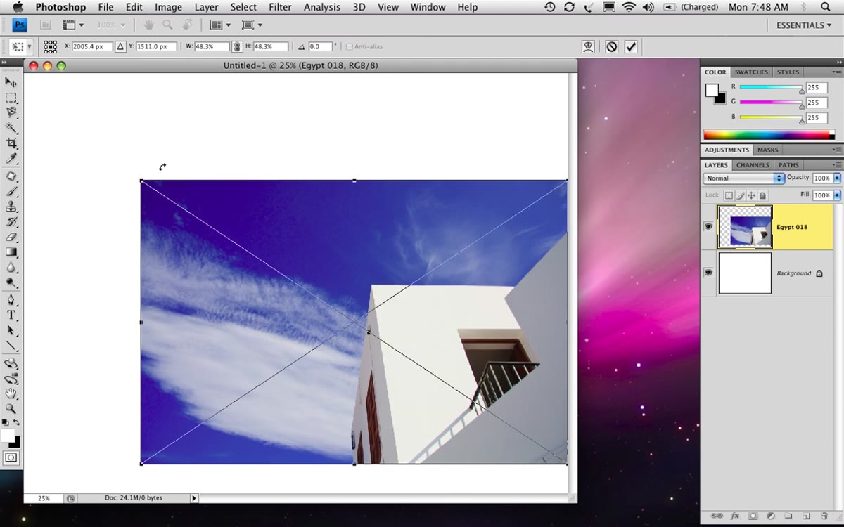 Photo scaled down on white canvas with visible white border