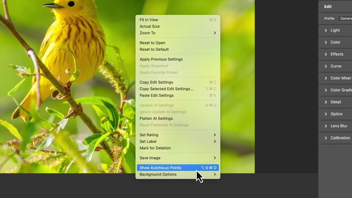 Right-click context menu open over the photo in Camera Raw