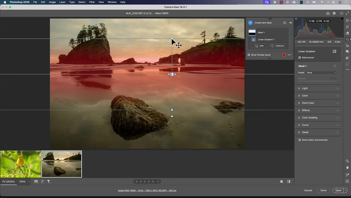 Bidirectional gradient toggle visible in the mask options panel