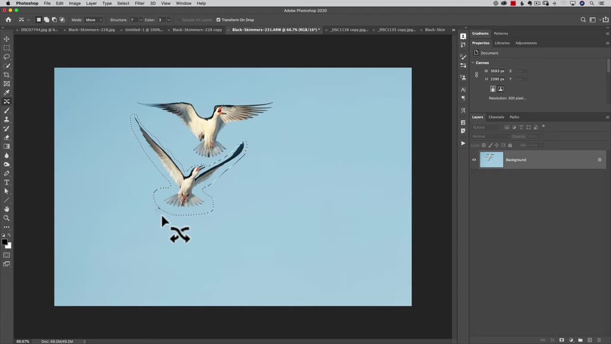 Slight color splotch left behind after content aware move completes