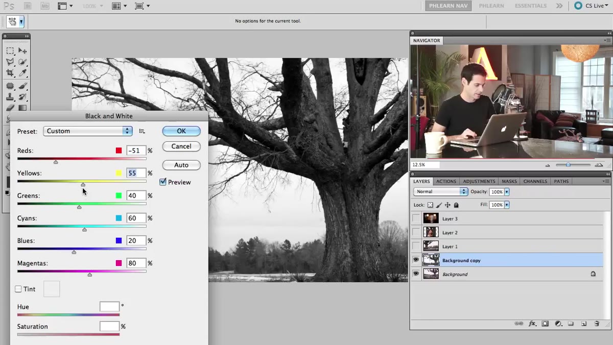 Portrait layer with layer mask applied from tree selection
