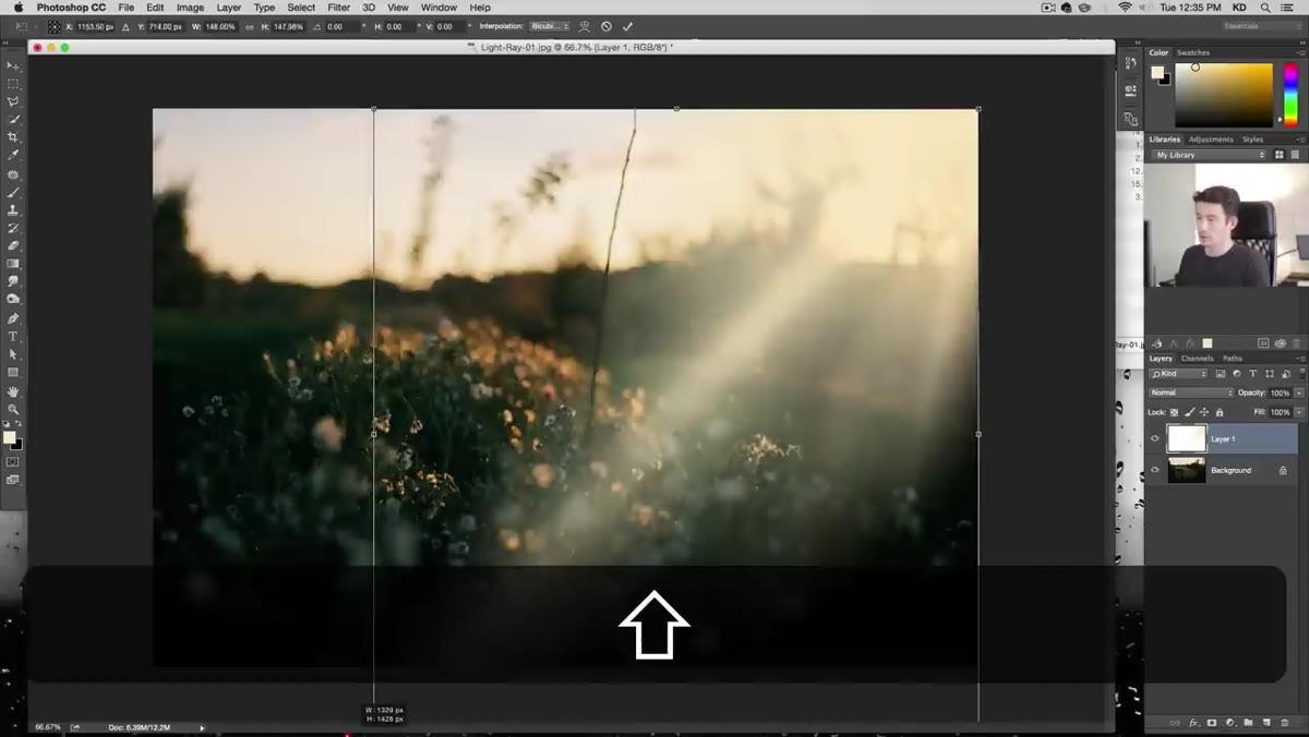 Free Transform handles stretching the light stamp layer