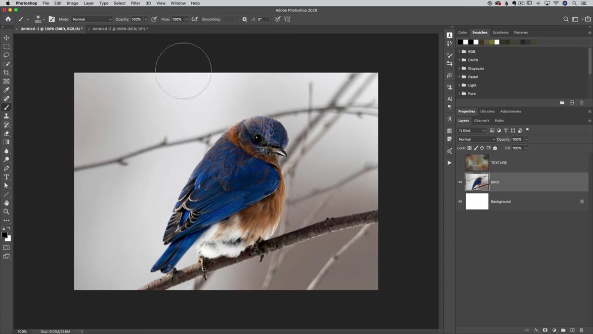 Select Subject applied to bird photo layer