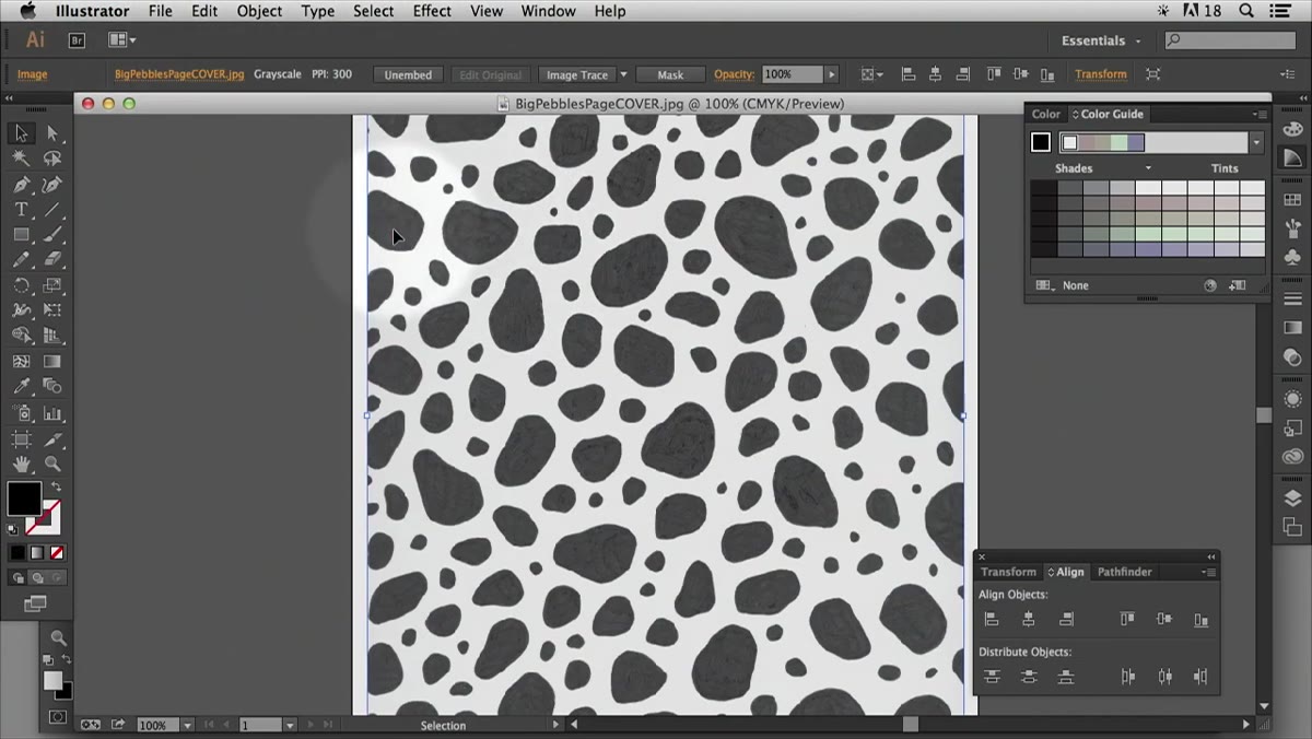Scanned image selected in Illustrator with Image Trace panel open