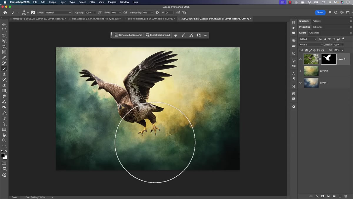 Mask being refined around the bird&rsquo;s feathers with a smaller brush