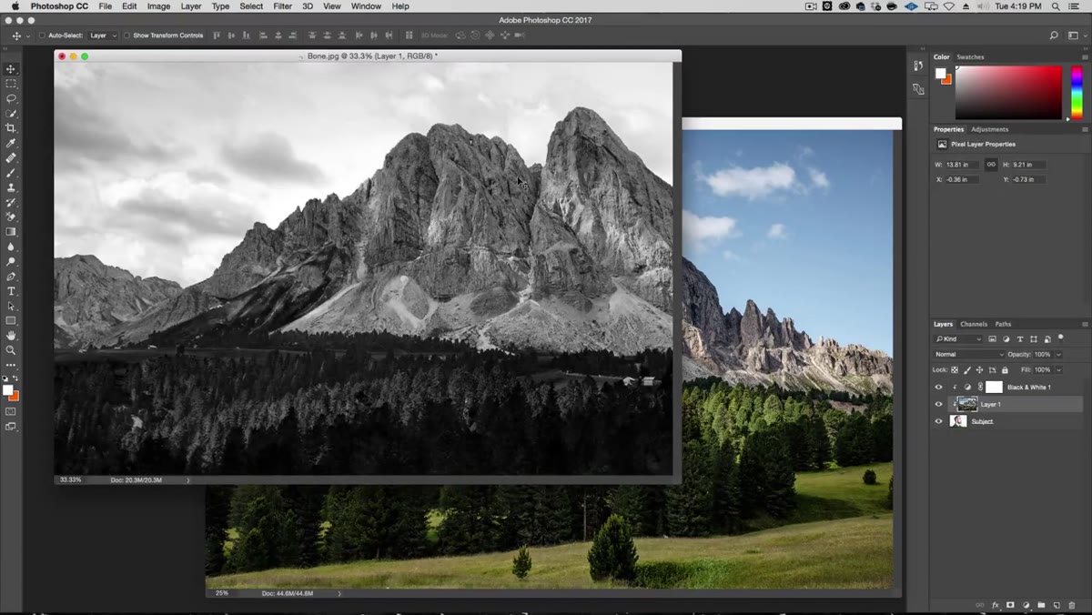 Nature photo dragged into the document above the Subject layer
