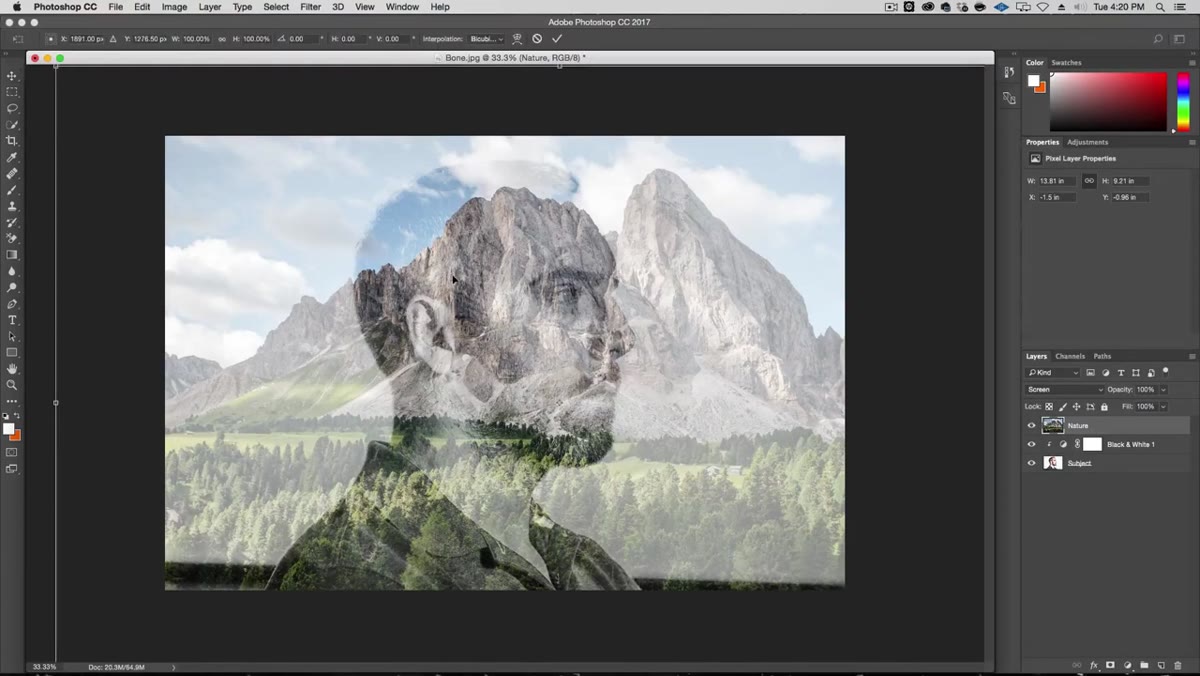 Free Transform active on the Nature layer, repositioning landscape over portrait