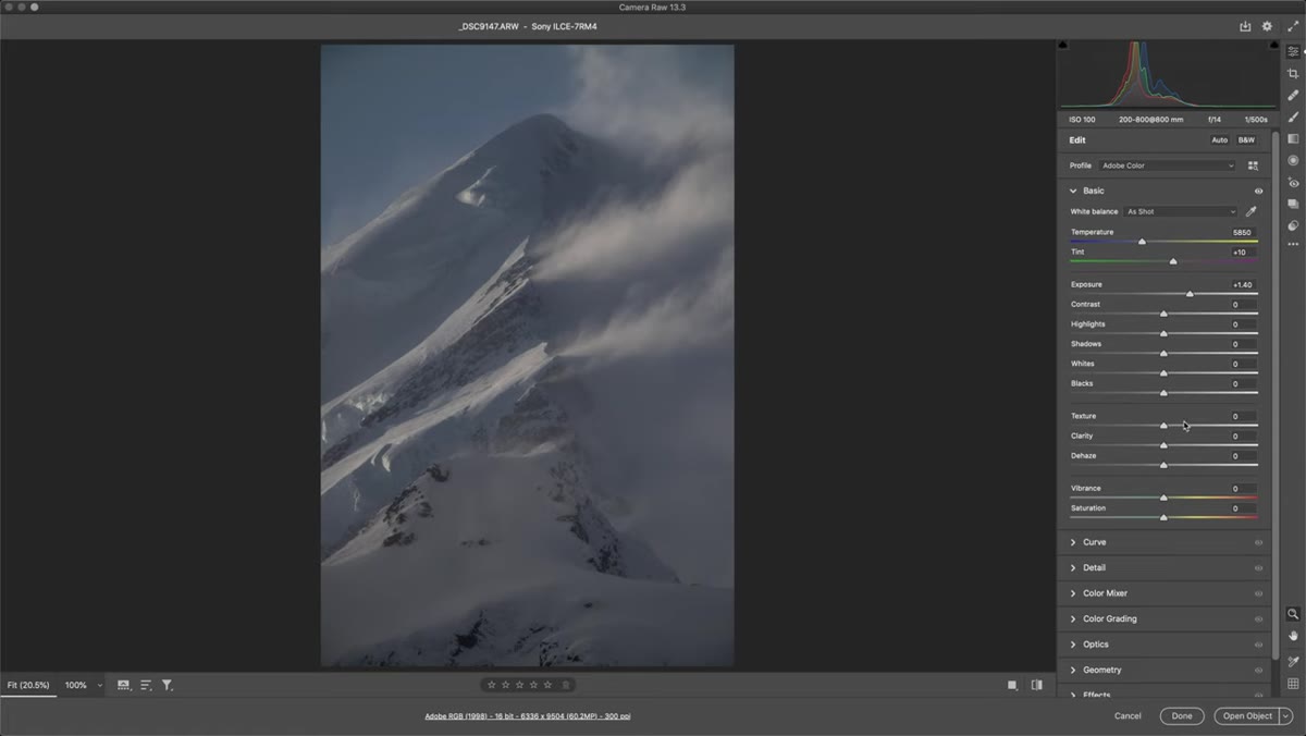 Black and White toggle being activated in Camera Raw