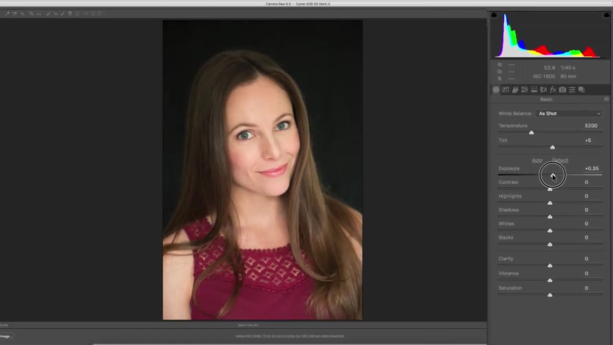 Exposure and contrast sliders being adjusted in Camera Raw