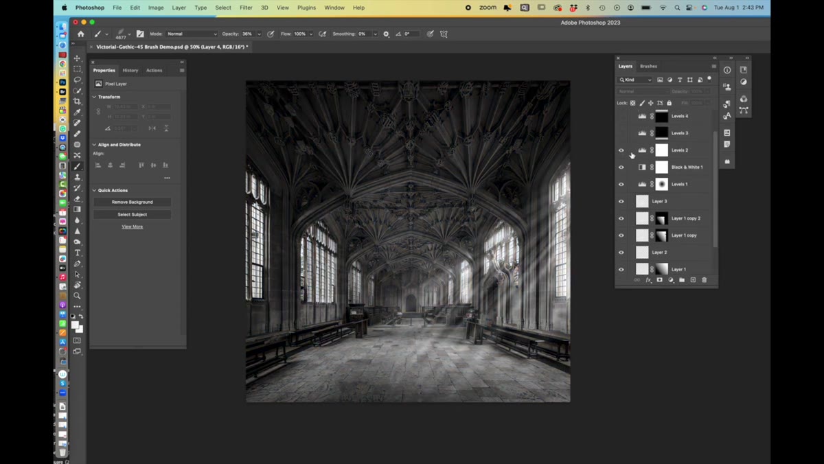 Black and white conversion applied over atmosphere layers with levels adjustment
