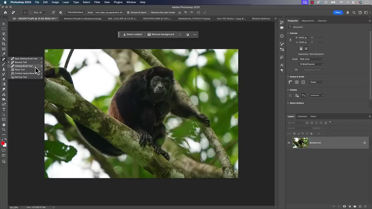 Toolbar showing Remove Tool grouped with healing tools