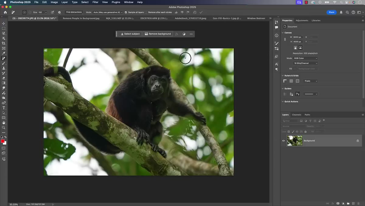 Remove Tool brush painting over a distraction in the image