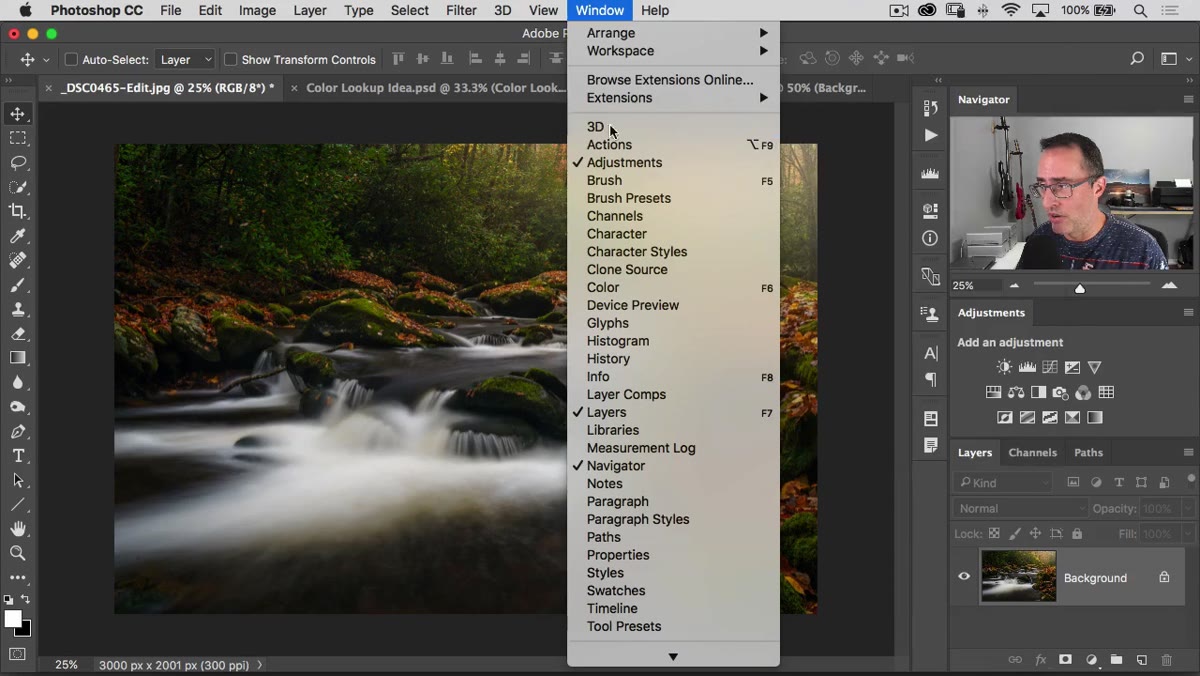 Adjustments panel visible on right side of workspace