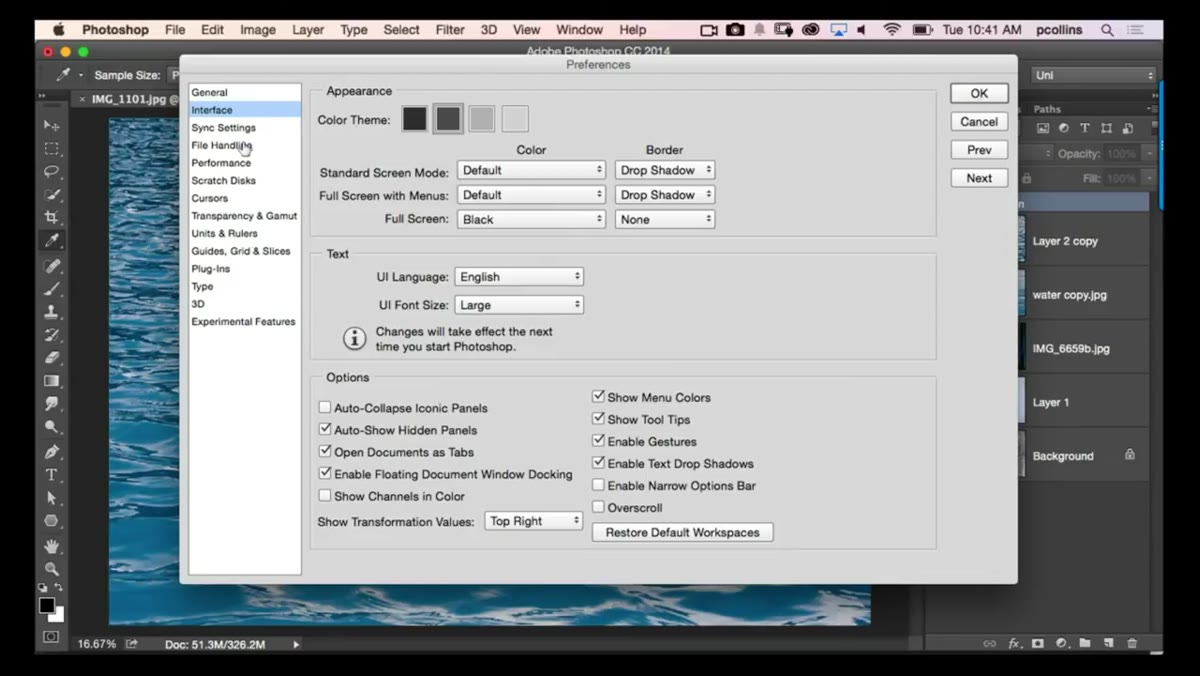 Preferences Interface panel, Show Tool Tips checkbox highlighted