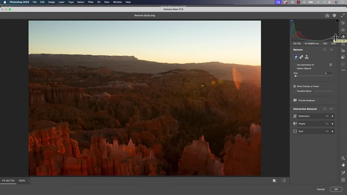 Remove section open in Camera Raw right-hand panel