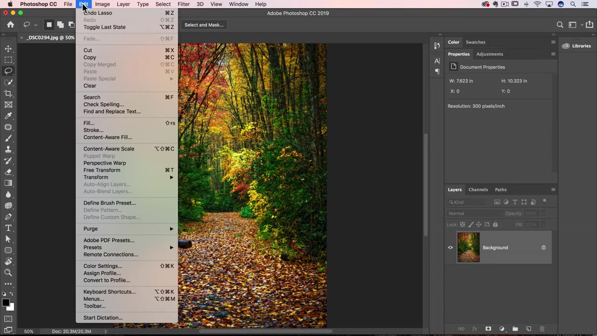 Edit menu open with Fill option highlighted