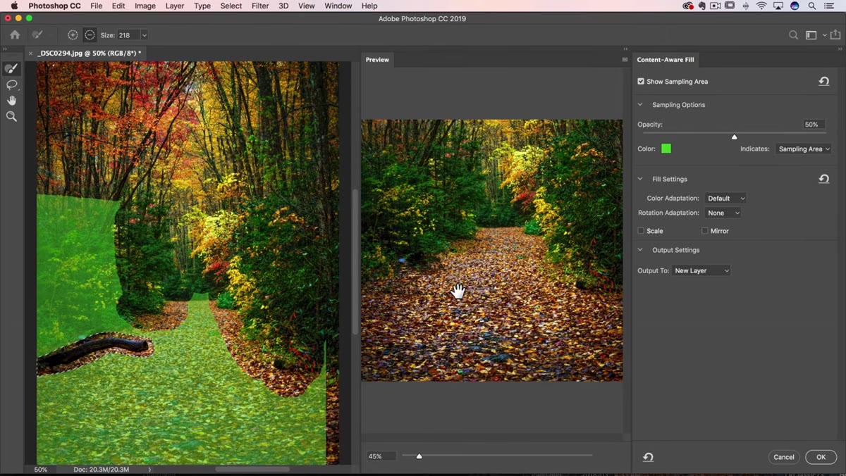 Preview panel showing clean fill result after sampling adjustment