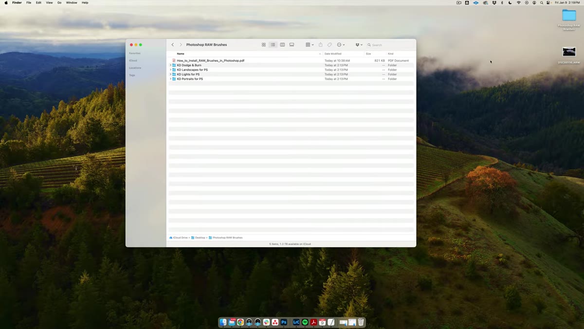 Photoshop reopening after preset installation