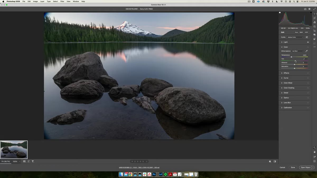 Camera Raw color panel with temperature and tint sliders being adjusted