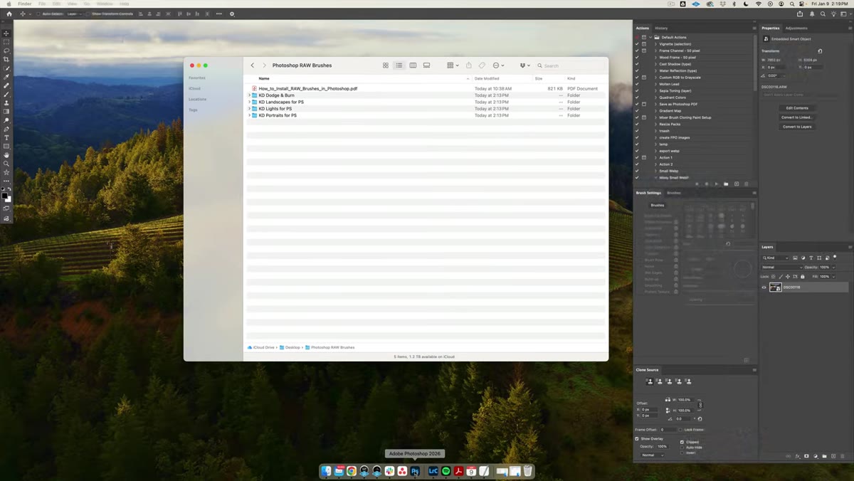 Adobe Camera Raw open with Local Corrections brush tool selected