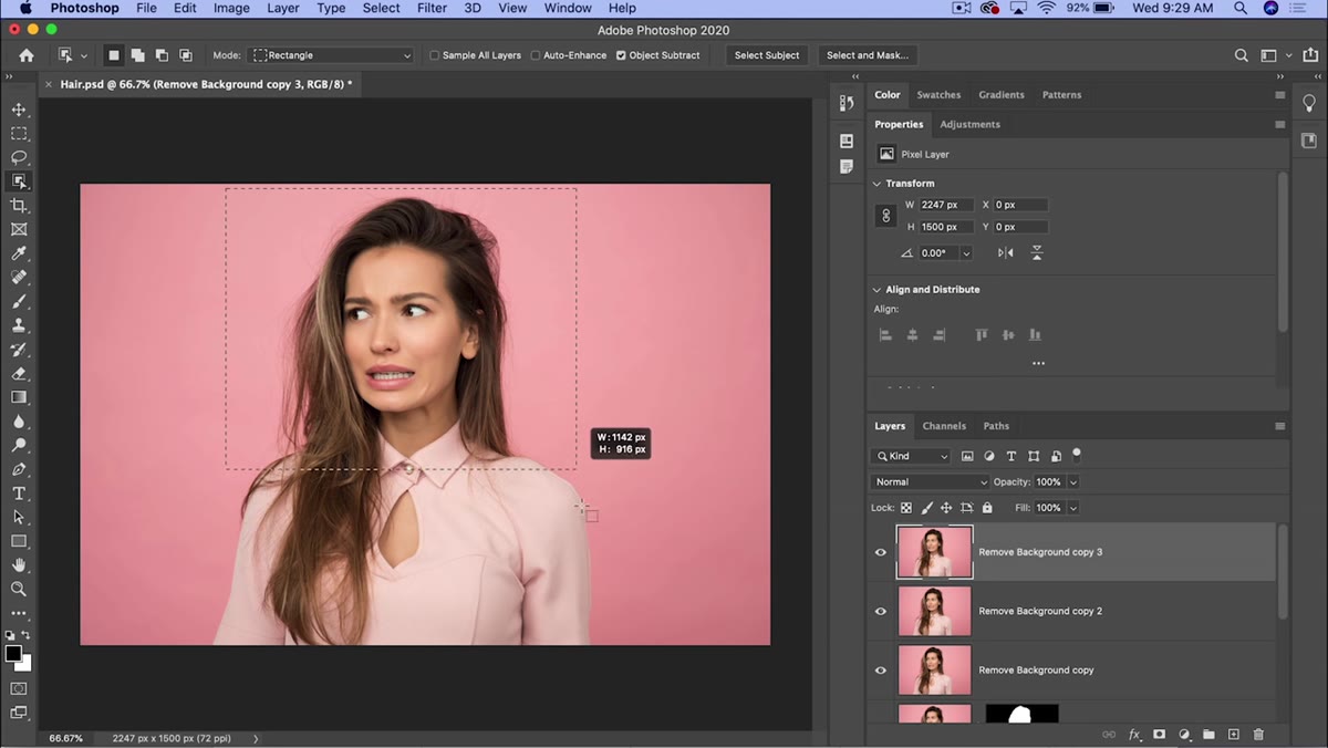 Object Selection Tool active, rectangle drawn around subject