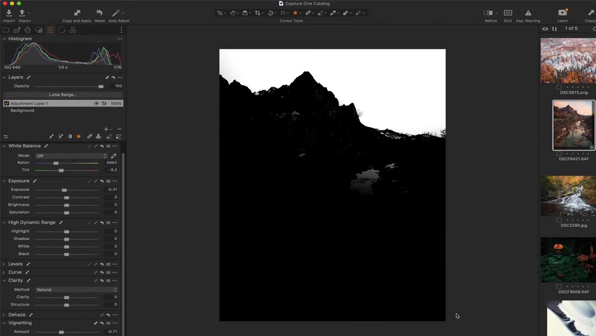 Exposure and white balance sliders being adjusted on the masked layer