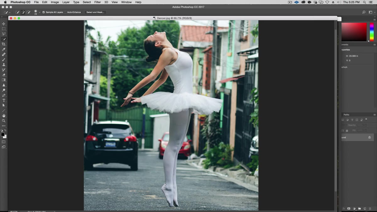Quick Selection tool active, painting selection over busy background