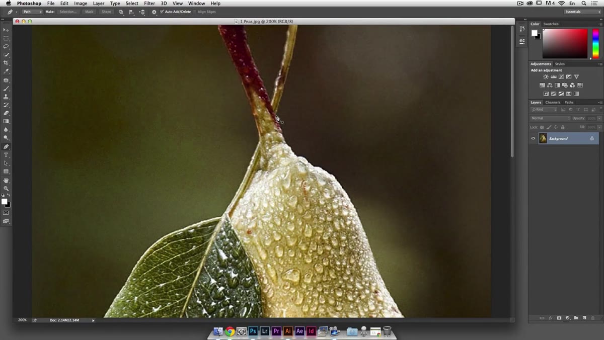 First anchor point placed on the edge of a pear in Photoshop