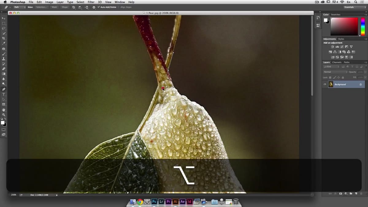 Alt key held down to break bezier handle, creating a direction change