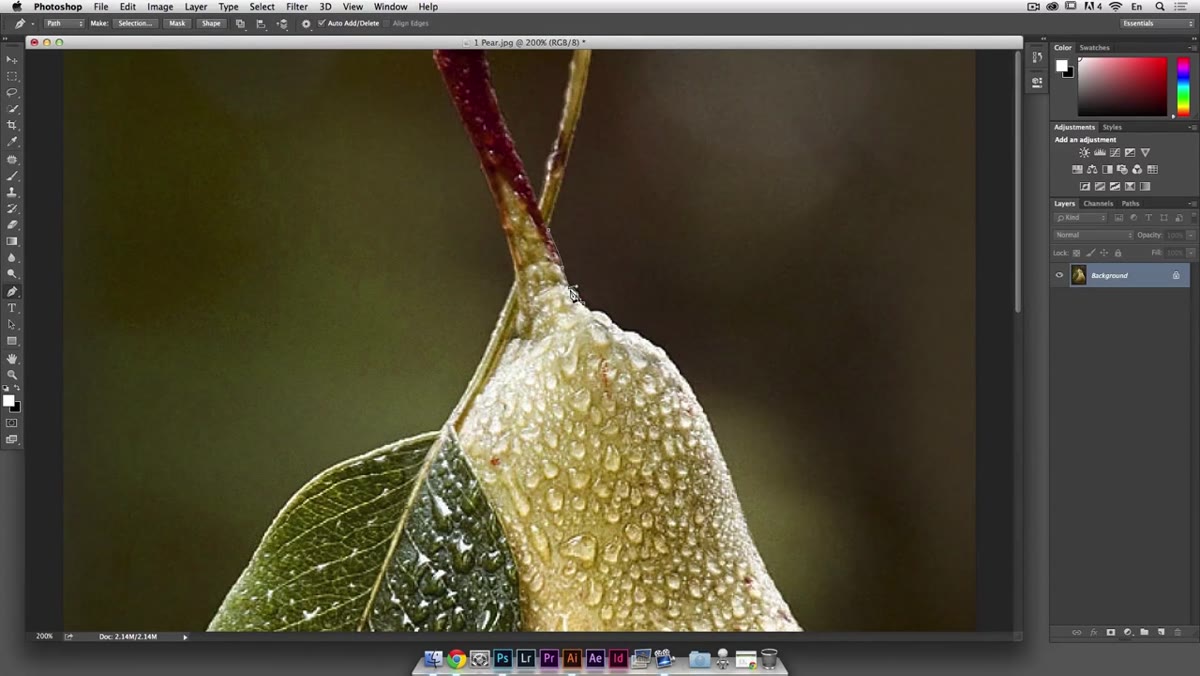 Cursor hovering over original anchor point to close the path, small circle indicator visible