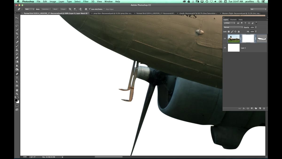 Pete selecting and deleting extra anchor points directly on the vector mask