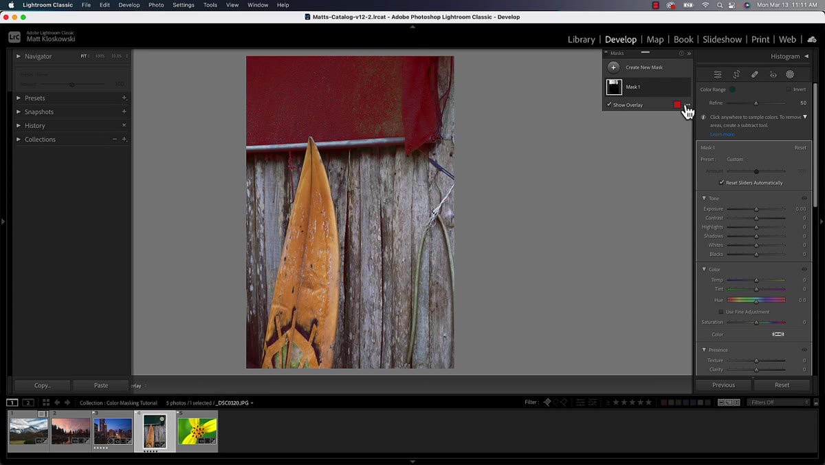 Switching mask view to white-on-black for clearer selection visibility