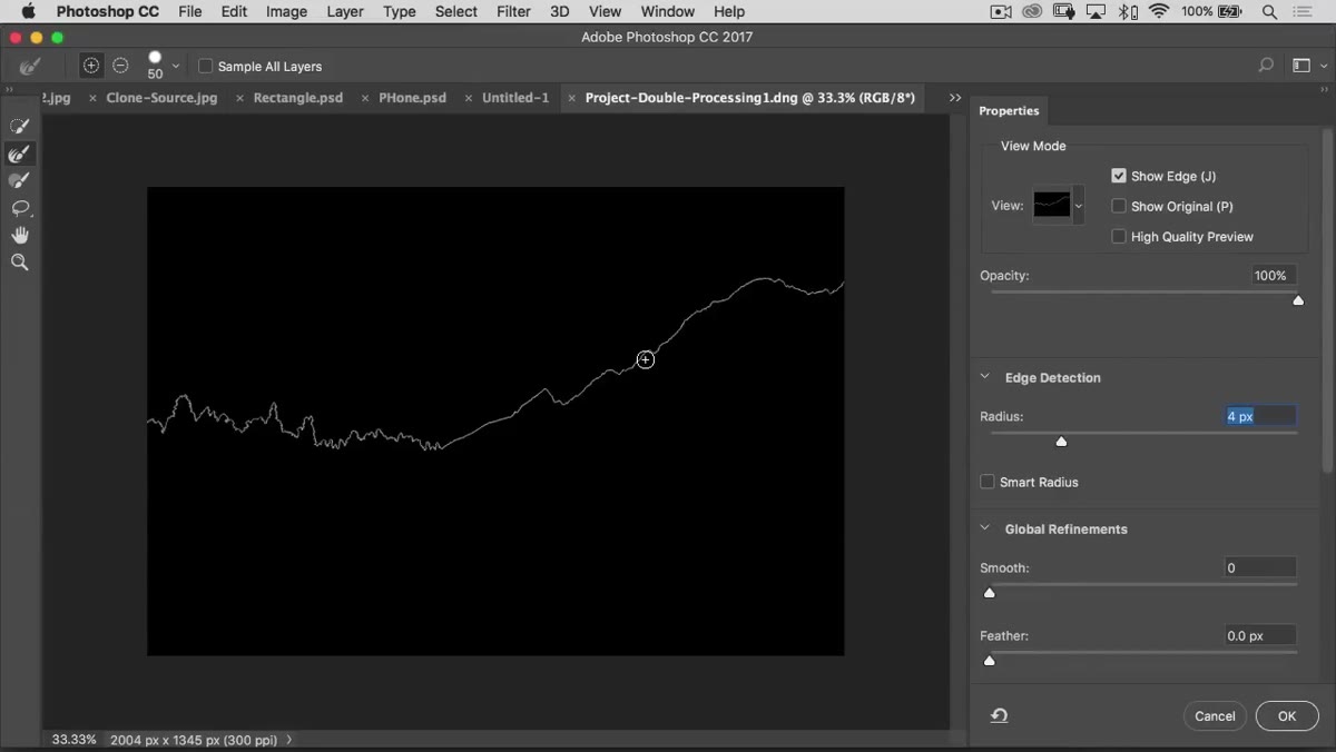 Select and Mask workspace open with hair selection being refined using the Refine Edge Brush